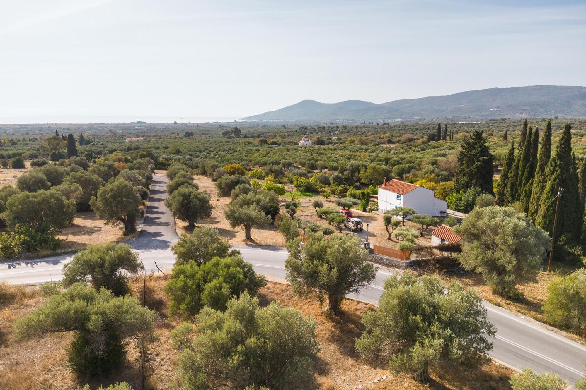 Ether Farmhouse Chora  Dış mekan fotoğraf